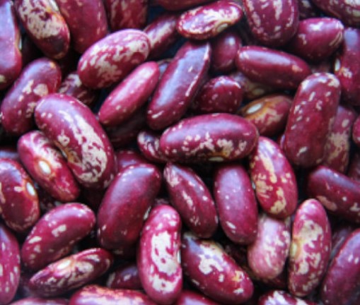 Red beans