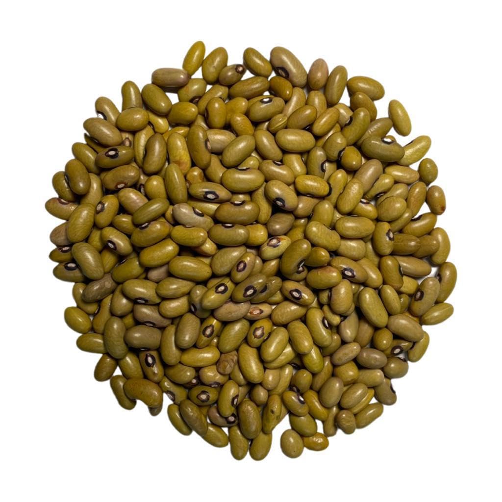 Yellow Dry Beans