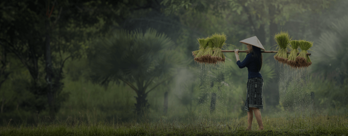 Welcome to The Agriculture Farm