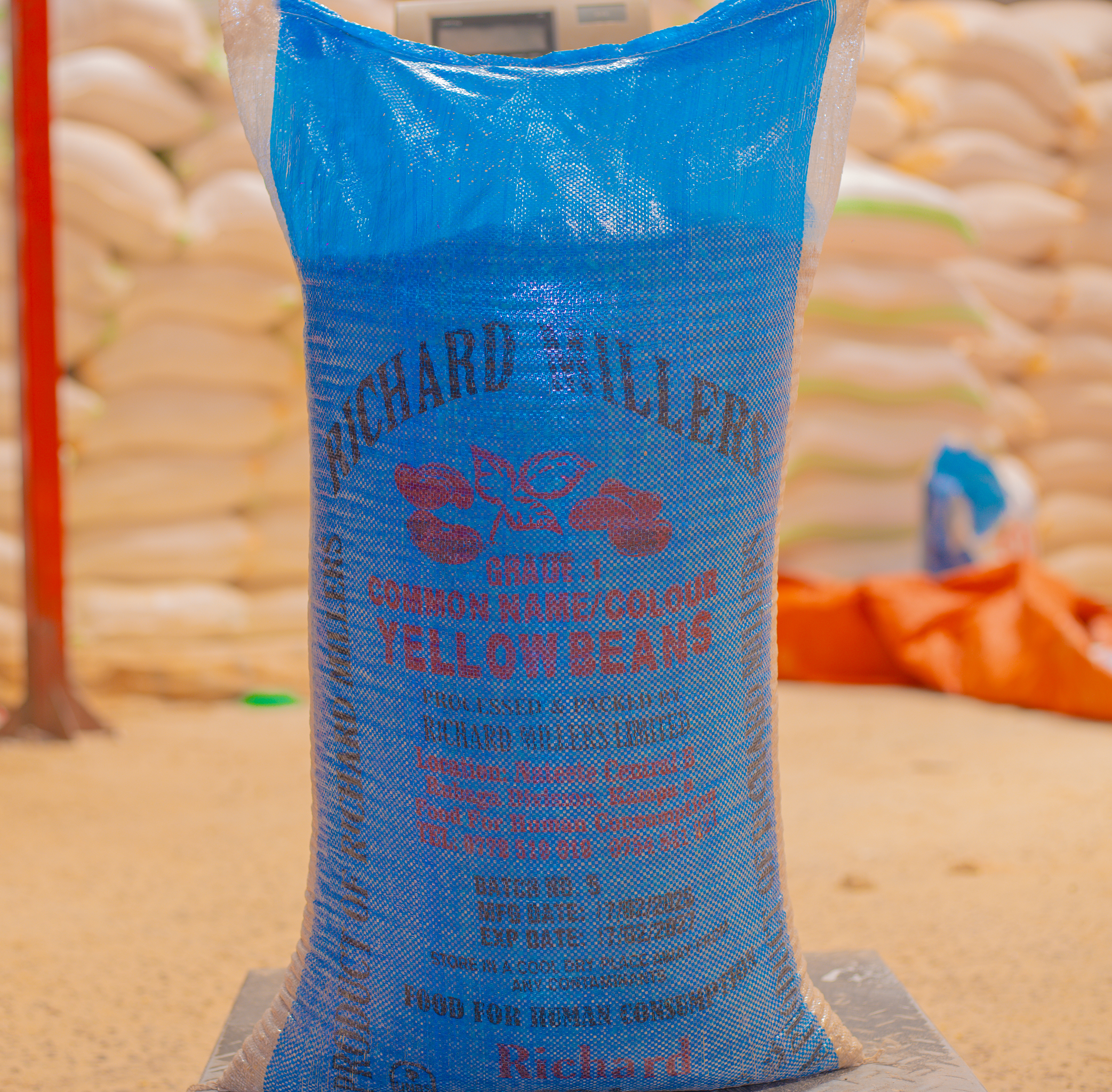 Yellow Dry Beans - Image 5